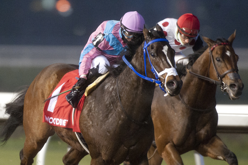 Thumbnail for Ikerrin Road takes Kennedy Road in stretch run at Woodbine