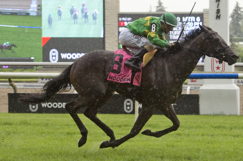 My Gal Betty and jockey Rafael Hernandez winning in the $100,000 Catch a Glimpse Stakes on Saturday, August 25 at Woodbine Racetrack.