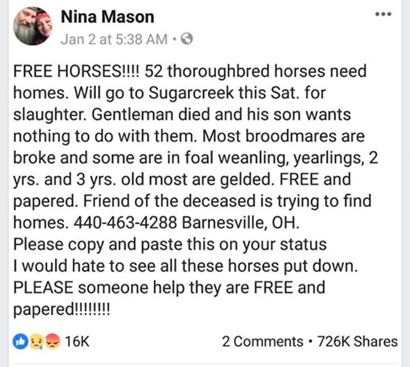 It appears as though this year’s “52 Thoroughbreds Virus” started initially with this post, which Facebook has since removed.