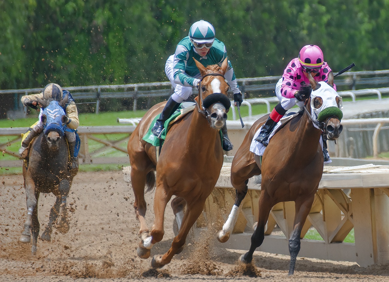 Thumbnail for Equine Guelph Offers Free Online Courses for Ontario Racing Industry