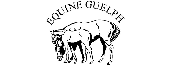 Equine Guelph is hosting a new online short course where you can learn from experts how to reduce the chance of digestive tract issues in your racehorse.