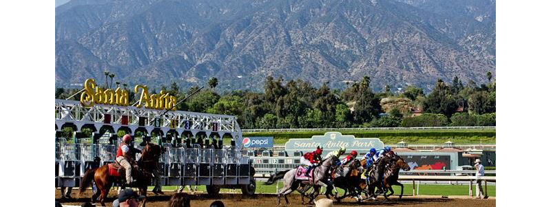 Thumbnail for Santa Anita Park Closed in Wake of 21 Horse Deaths