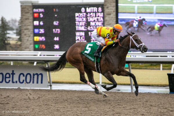RACES – Canadian Thoroughbred
