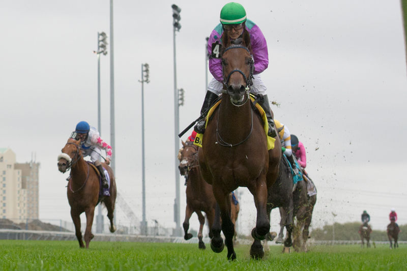 The Josie Carroll-trained colt Avie’s Flatter winning the 2018 Cup and Saucer Stakes at Woodbine. Michael Burns Photo