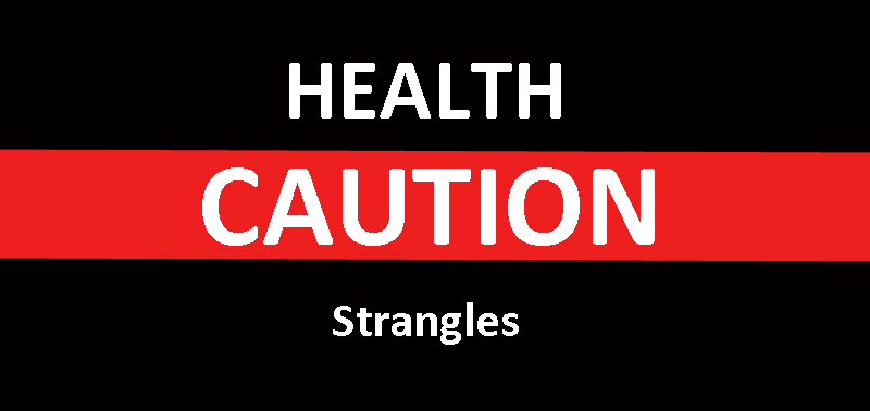 A positive case of Strangles has been reported in New Brunswick.