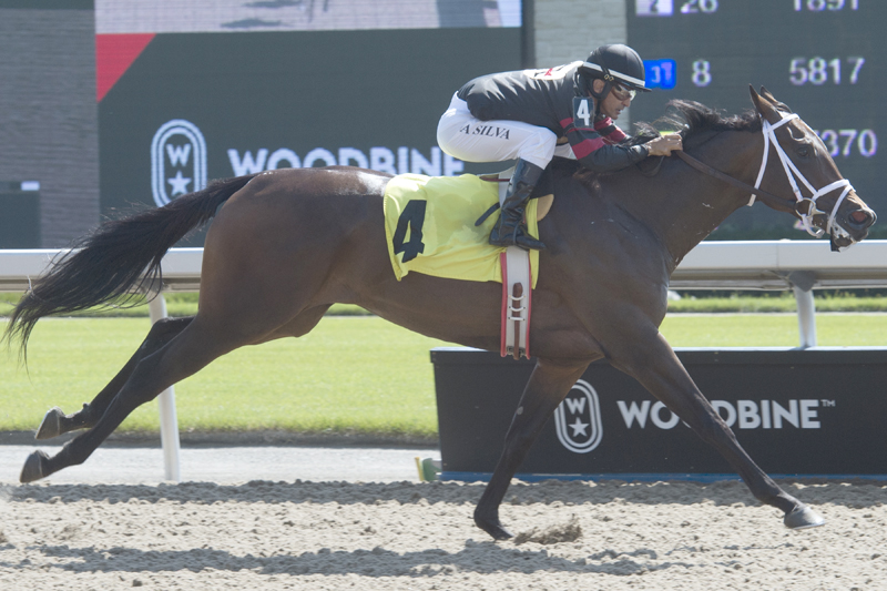 Thumbnail for Intanga Rose shoots for the stars in Star Shoot Stakes at Woodbine