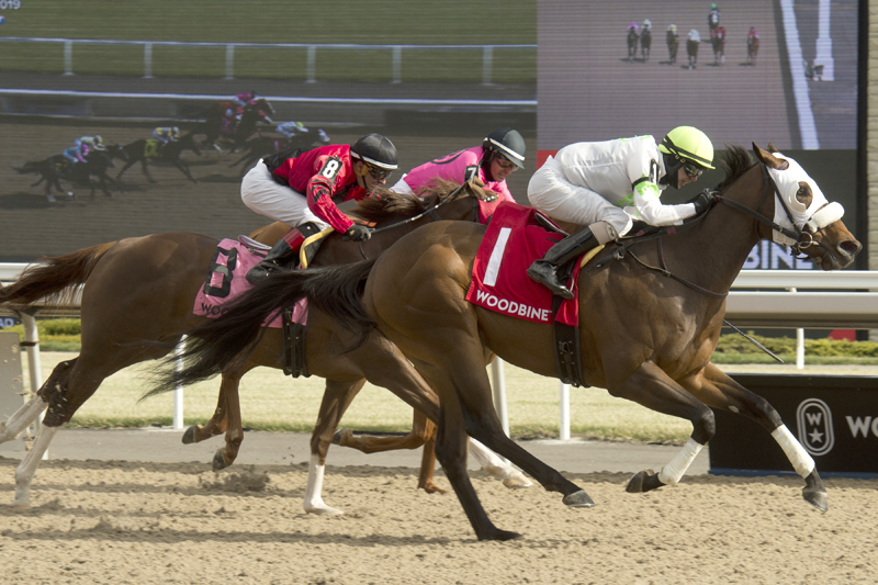Souper Success and jockey Jesse Campbell winning the $100,000 Woodstock Stakes on Saturday, April 27.