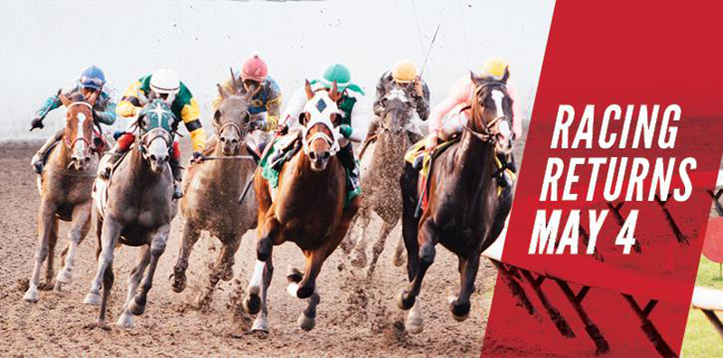 Opening Day of the 2019 thoroughbred season at Hastings Racecourse on Saturday, May 4