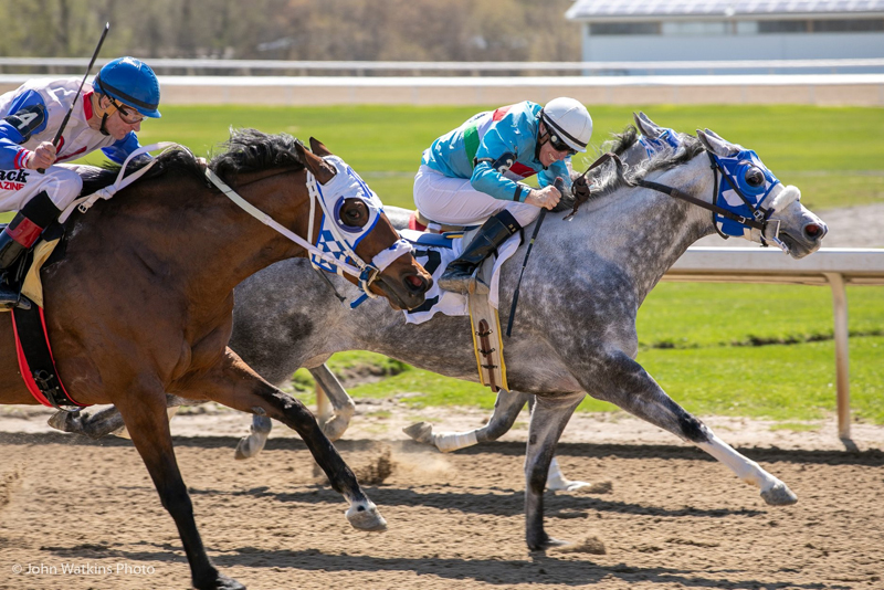 Thumbnail for Photo Finish on Opening Day of Ajax Downs’ 50th Anniversary Season