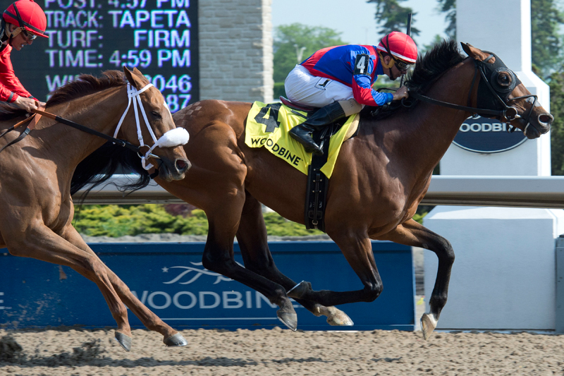 Are You Kidding Me winning the 2018 Eclipse Stakes at Woodbine. Michael Burns Photo