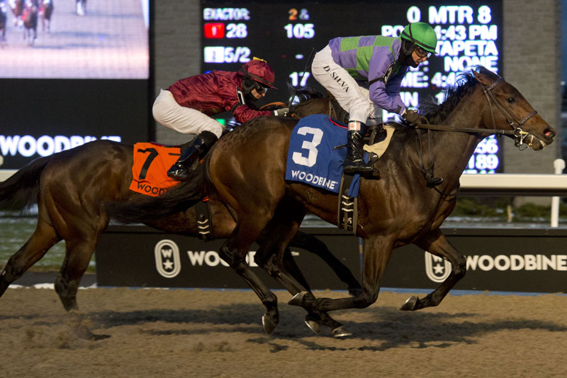 Sovereign Award-winning Avie's Flatter continues to the headline the list of Queen's Plate eligibles.