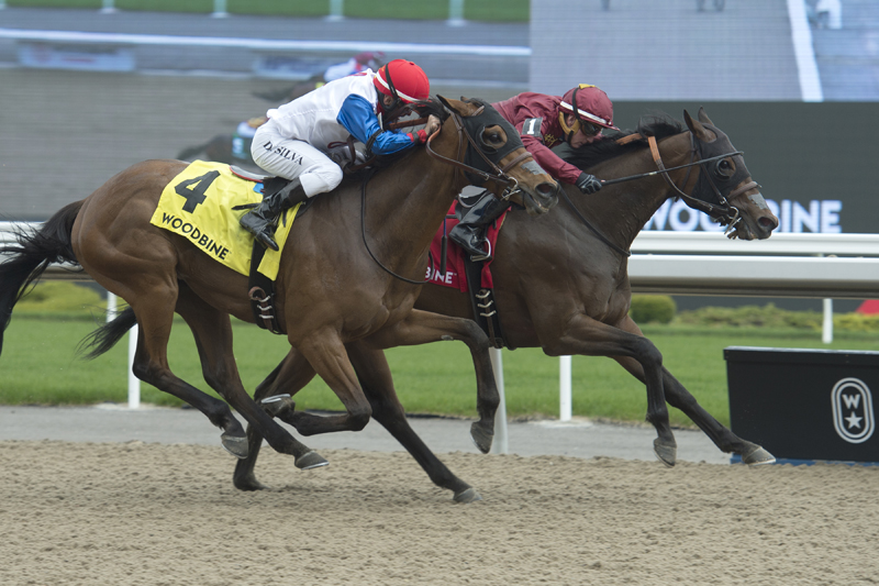 Federal Law and jockey Gary Boulanger winning the $125,000 Queenston Stakes over fellow Mark Casse trainee My Silencer on Sunday, May 19 at Woodbine Racetrack.