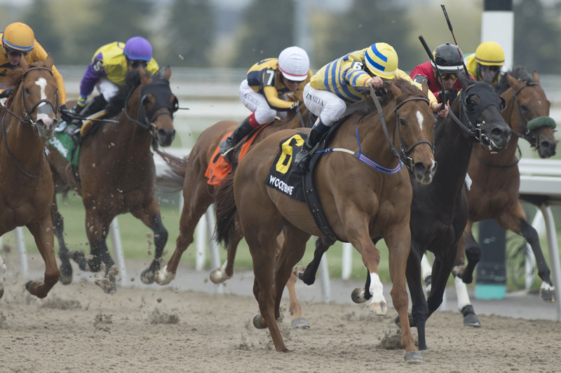 Pink Lloyd and jockey Eurico Rosa Da Silva winning the Grade 3 Jacques Cartier Stakes on Saturday afternoon at Woodbine Racetrack.