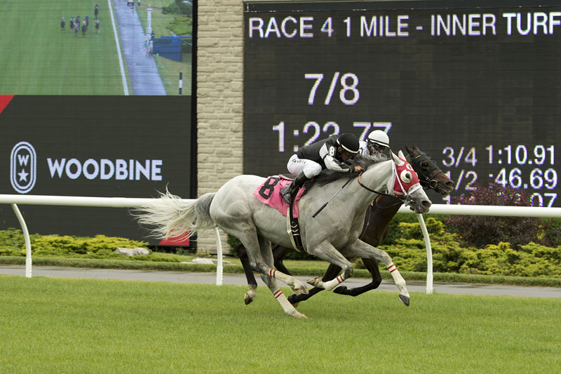 Bold Rally and jockey Eurico Rosa Da Silva nosed out Badjeros Boy and Jesse Campbell in a photo finish to win the first race contested on Woodbine Racetrack’s new inner turf course on Friday, June 28.