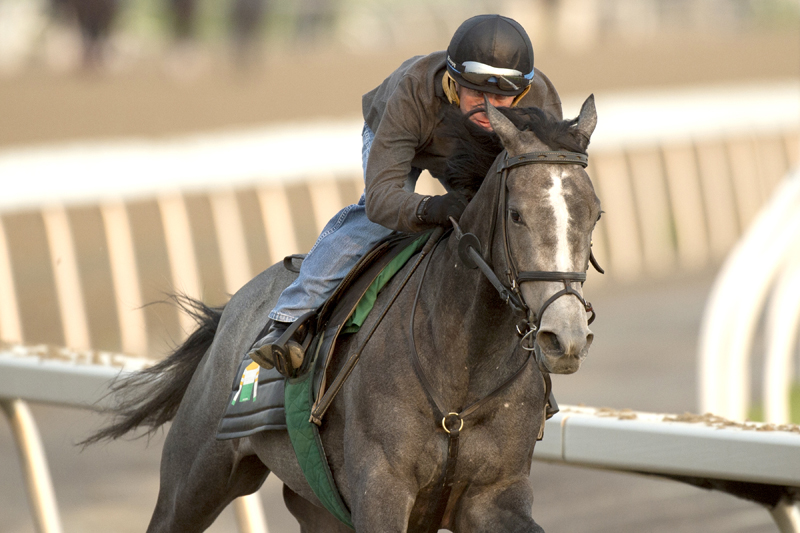 Thumbnail for Bold Script looks to stand out in Bison City Stakes at Woodbine