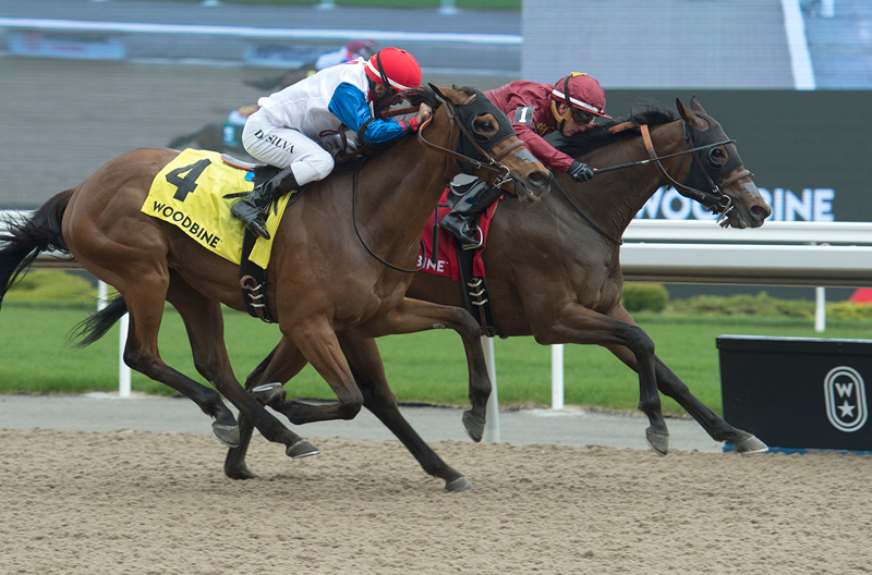 Federal Law and jockey Gary Boulanger winning the $125,000 Queenston Stakes on May 19 at Woodbine Racetrack. Michael Burns Photo