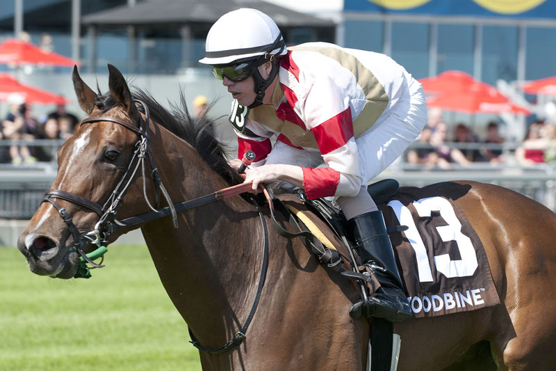 Sister Peacock and jockey Jesse Campbell winning the $100,000 William D. Graham Memorial Stakes on Saturday, June 8 at Woodbine Racetrack.