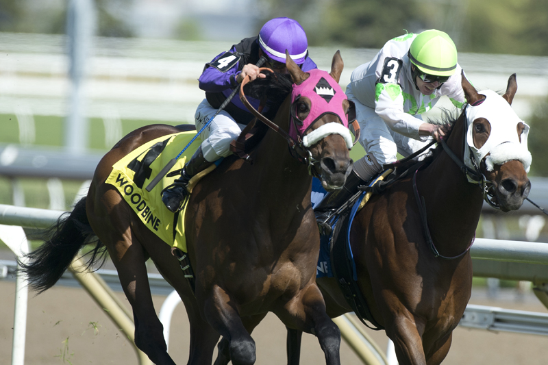 Souper Hot (#4) and jockey Eurico Rosa Da Silva defeated Souper Success (#3) and Jesse Campbell in the $100,000 Bold Ruckus on Sunday, June 2 at Woodbine Racetrack.