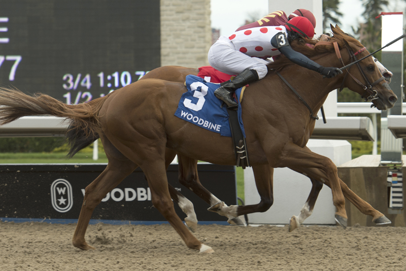 Souper Tapit winning the Grade 2 Eclipse Stakes on May 20 at Woodbine Racetrack.