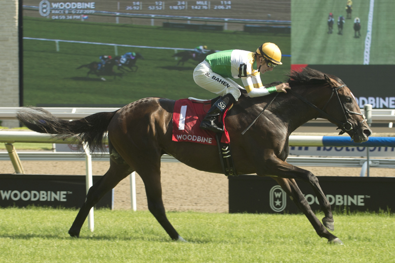Thumbnail for Tiz a Slam records sixth career stakes victory at Woodbine