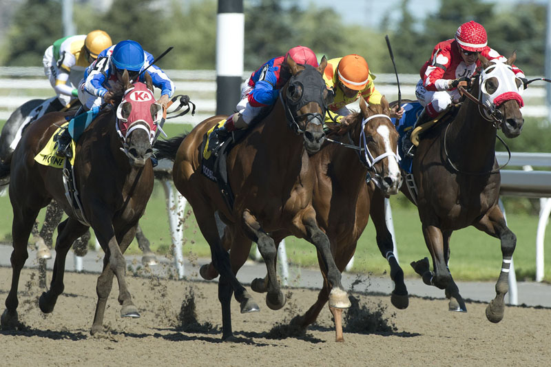 Are You Kidding Me and jockey Rafael Hernandez winning the $125,000 Dominion Day Stakes (Grade 3) on June 30 at Woodbine Racetrack.