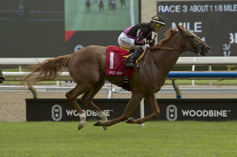 Armistice Day and jockey Luis Contreras winning the $100,000 Toronto Cup on Saturday, July 20 at Woodbine Racetrack.