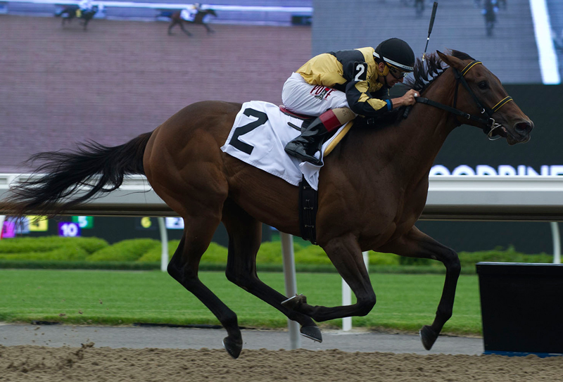 Fast Scene, pictured winning on June 15 at Woodbine, is one of the eight rivals Reiterate will face in Saturday’s My Dear Stakes. Michael Burns Photo