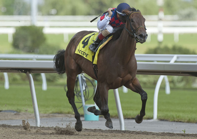 Thumbnail for Fast Scene delivers in My Dear Stakes at Woodbine