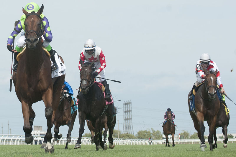 Seek and Destroy and jockey Luis Contreras winning the $125,000 Ontario Colleen Stakes (Grade 3) on Saturday, July 20 at Woodbine Racetrack.