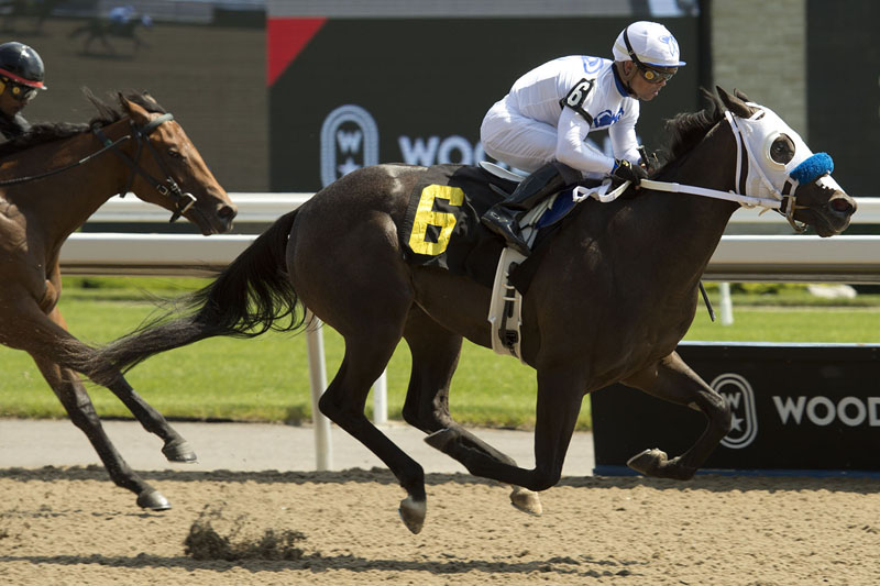 Wake Up Maggie and jockey Justin Stein winning on July 6 at Woodbine Racetrack.