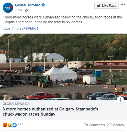 Thumbnail for 2019 Calgary Stampede Chuckwagon Deaths Total 6
