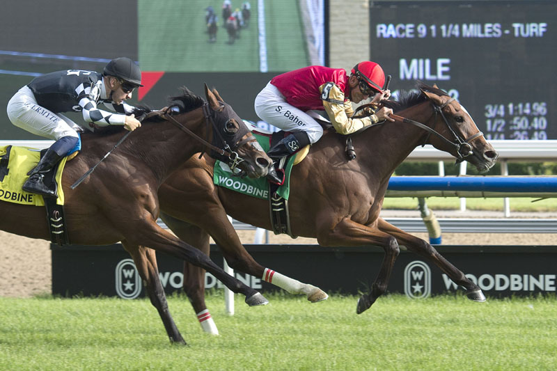 Thumbnail for Desert Ride wraps up Triple Tiara with win in Wonder Where Stakes