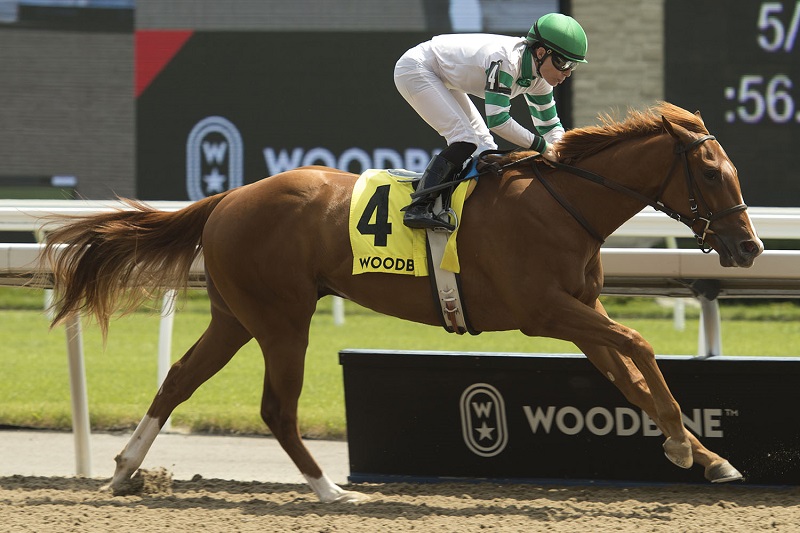 Thumbnail for Favourite Keep On Truckin claims Clarendon Stakes at Woodbine