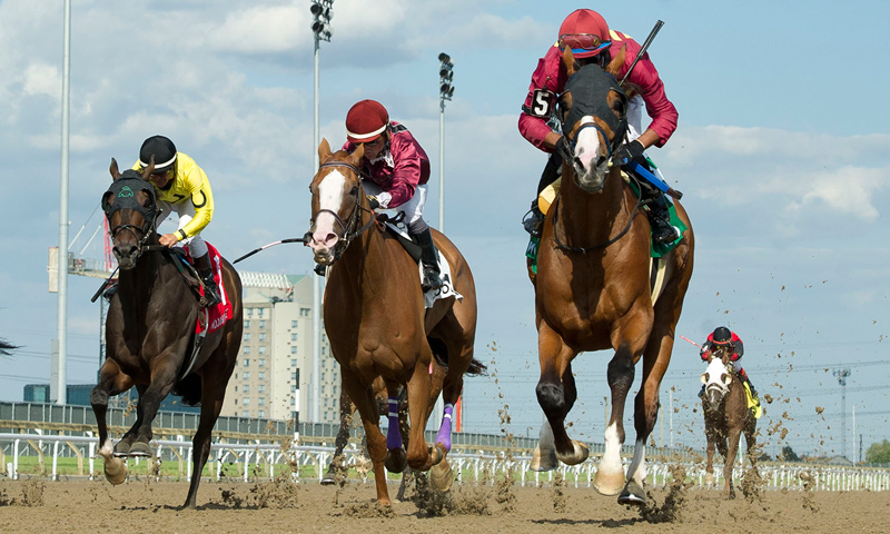 Thumbnail for Josie Carroll Trained Mr Ritz Wins Grade 3 Seagram Cup at Woodbine