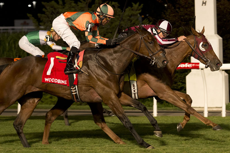 Thumbnail for Ladies Night at Woodbine sees Wilson and Red Cabernet taste victory