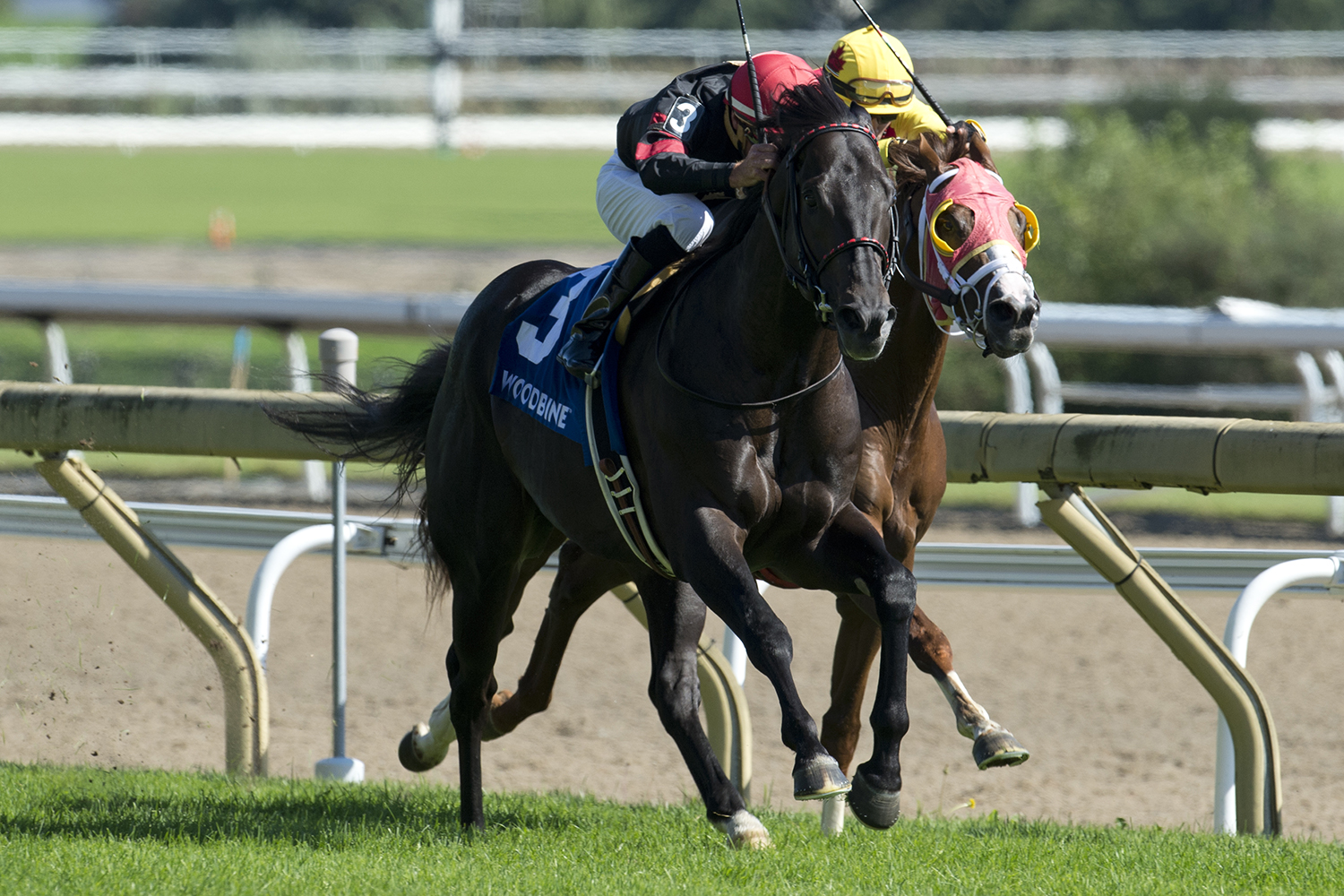 Silent Poet and jockey Gary Boulanger winning the 2018 Vice Regent Stakes at Woodbine Racetrack.