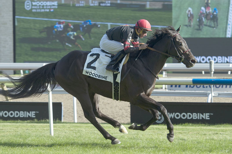 Silent Poet and jockey Gary Boulanger winning the $175,000 Play The King Stakes (Grade 2) on Saturday, Aug. 24 at Woodbine Racetrack.