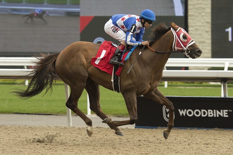 Special Forces winning on May 18 at Woodbine Racetrack.