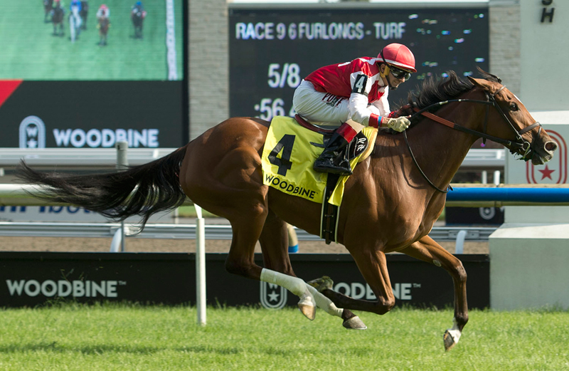 Thumbnail for Summer Sunday Aims for Seaway Stakes Win at Woodbine