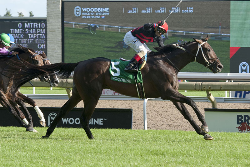 Thumbnail for Tone Broke takes Breeders’ Stakes in stretch drive at Woodbine