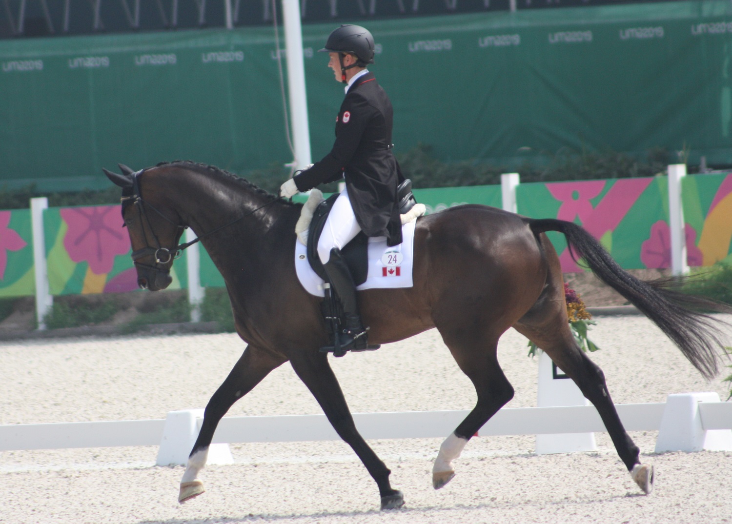 Colleen Loach and FE Golden Eye led the Canadian effort with a fourth-place finish in the dressage phase.