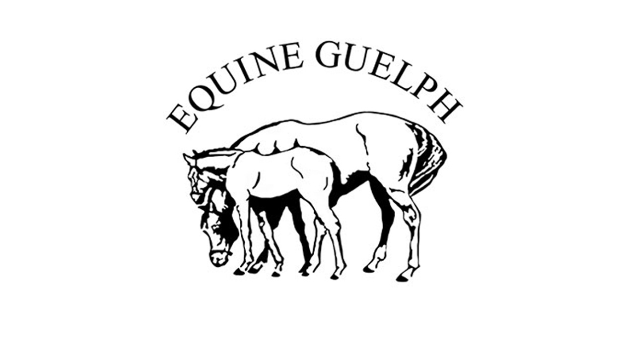 Thumbnail for Equine Guelph 2020 Online Tuition Award Applications Being Accepted
