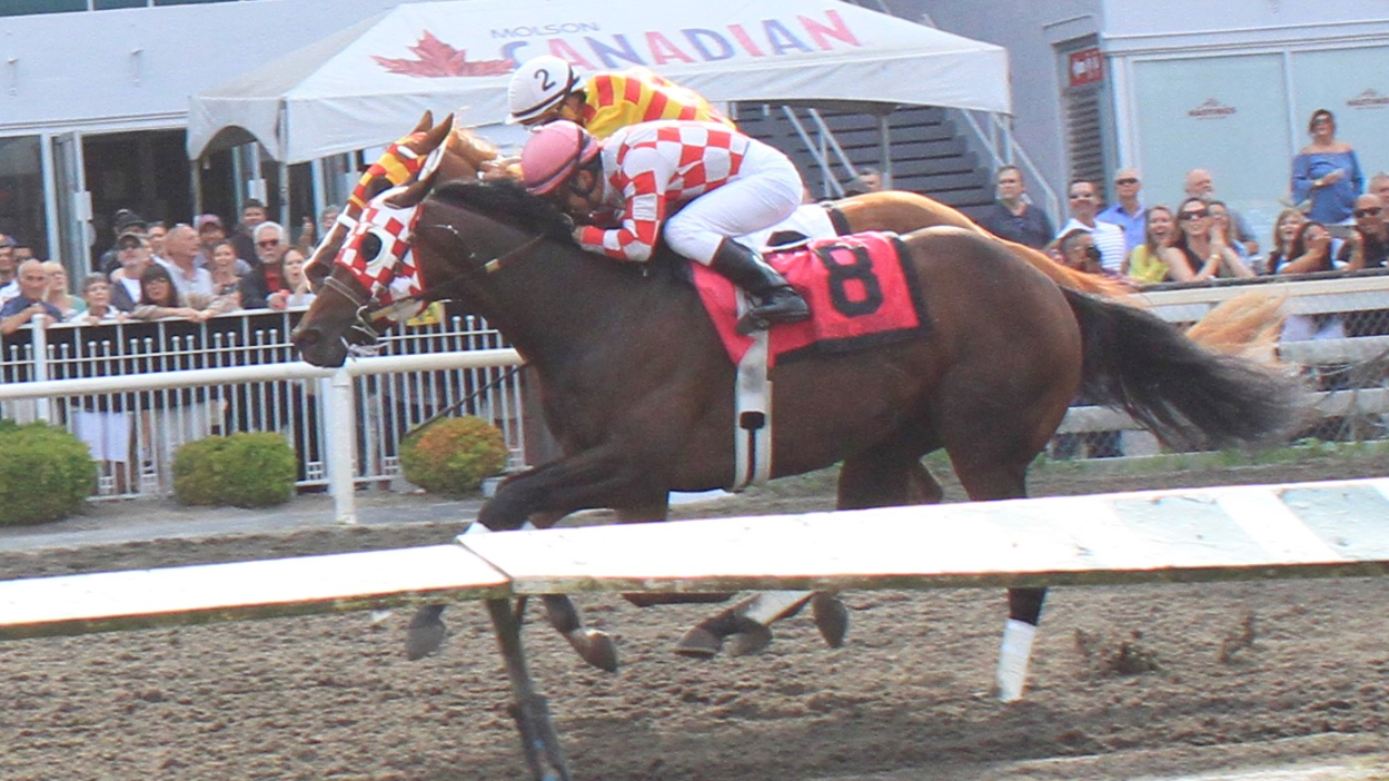 Thumbnail for Five Star General and Mario Gutierrez win thrilling BC Derby by a nose