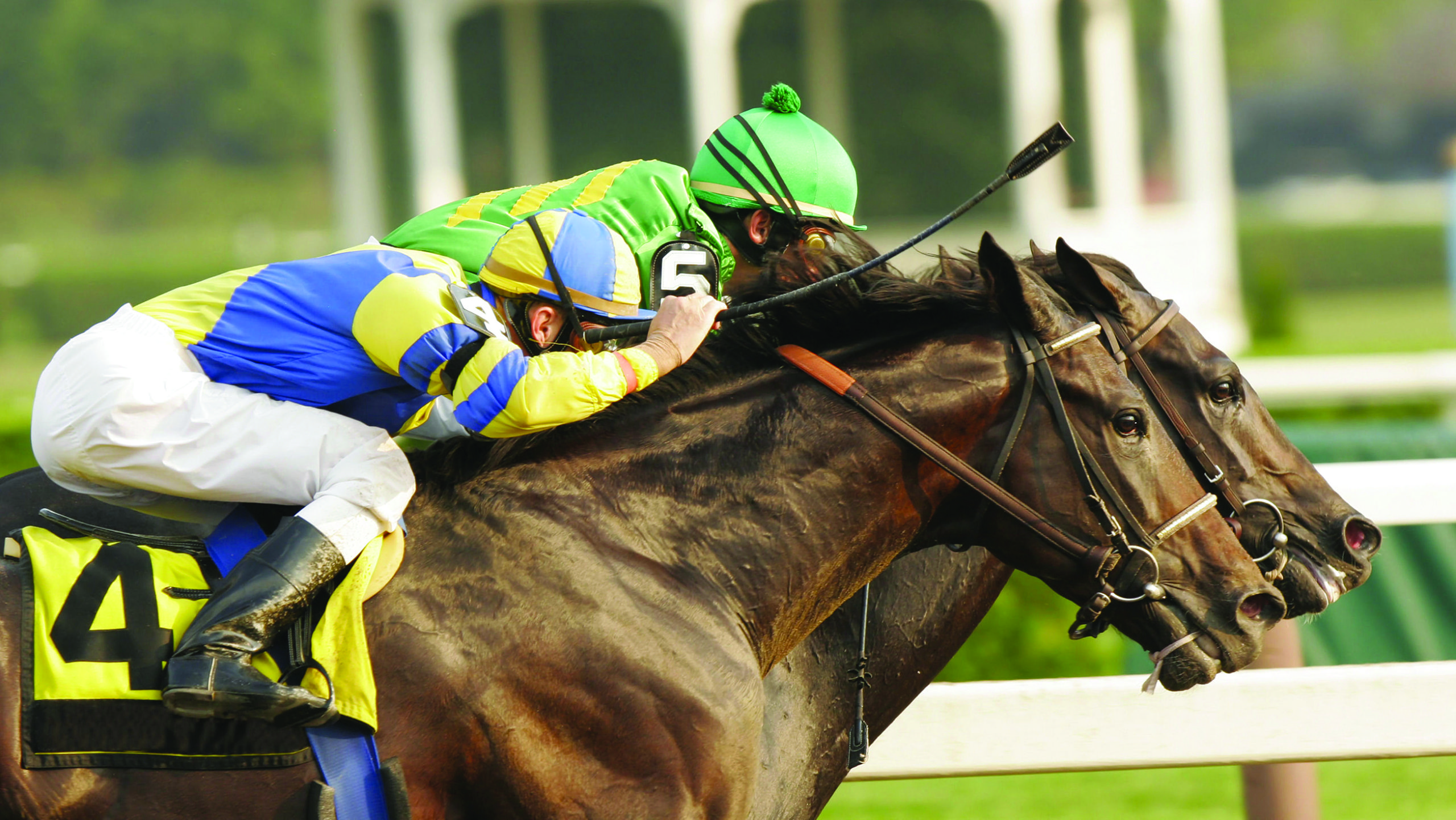 Thumbnail for Woodbine Takes Initiative in Horse Safety with Underhand Whip Pilot Program