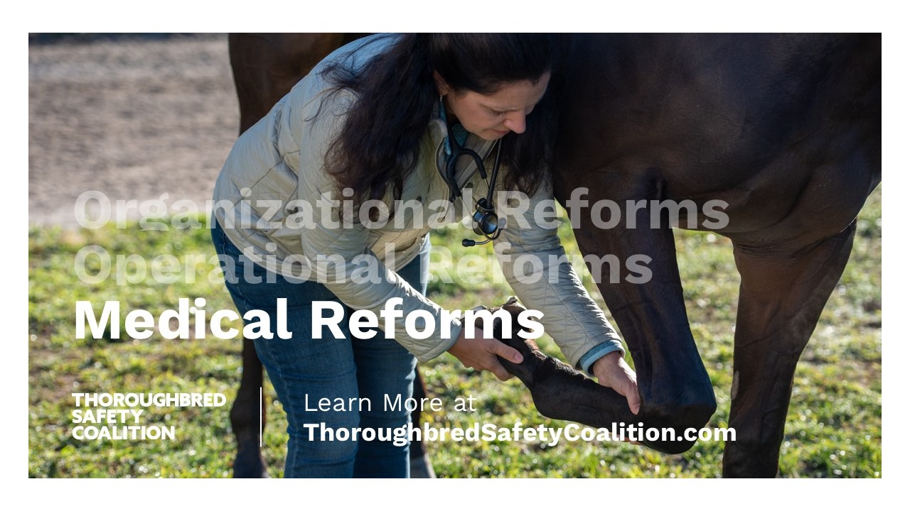 Thumbnail for Thoroughbred Safety Coalition: The Reforms