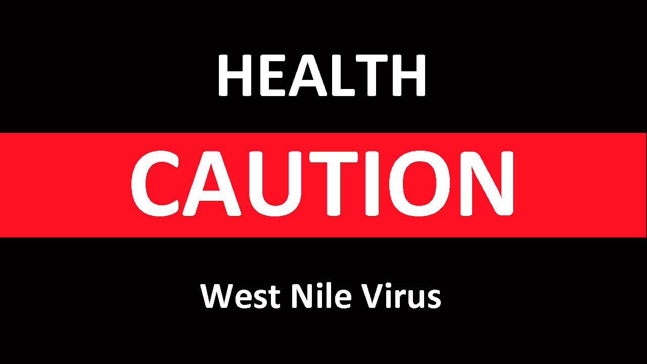 Thumbnail for One Case of West Nile Virus Has Been Reported in Ontario