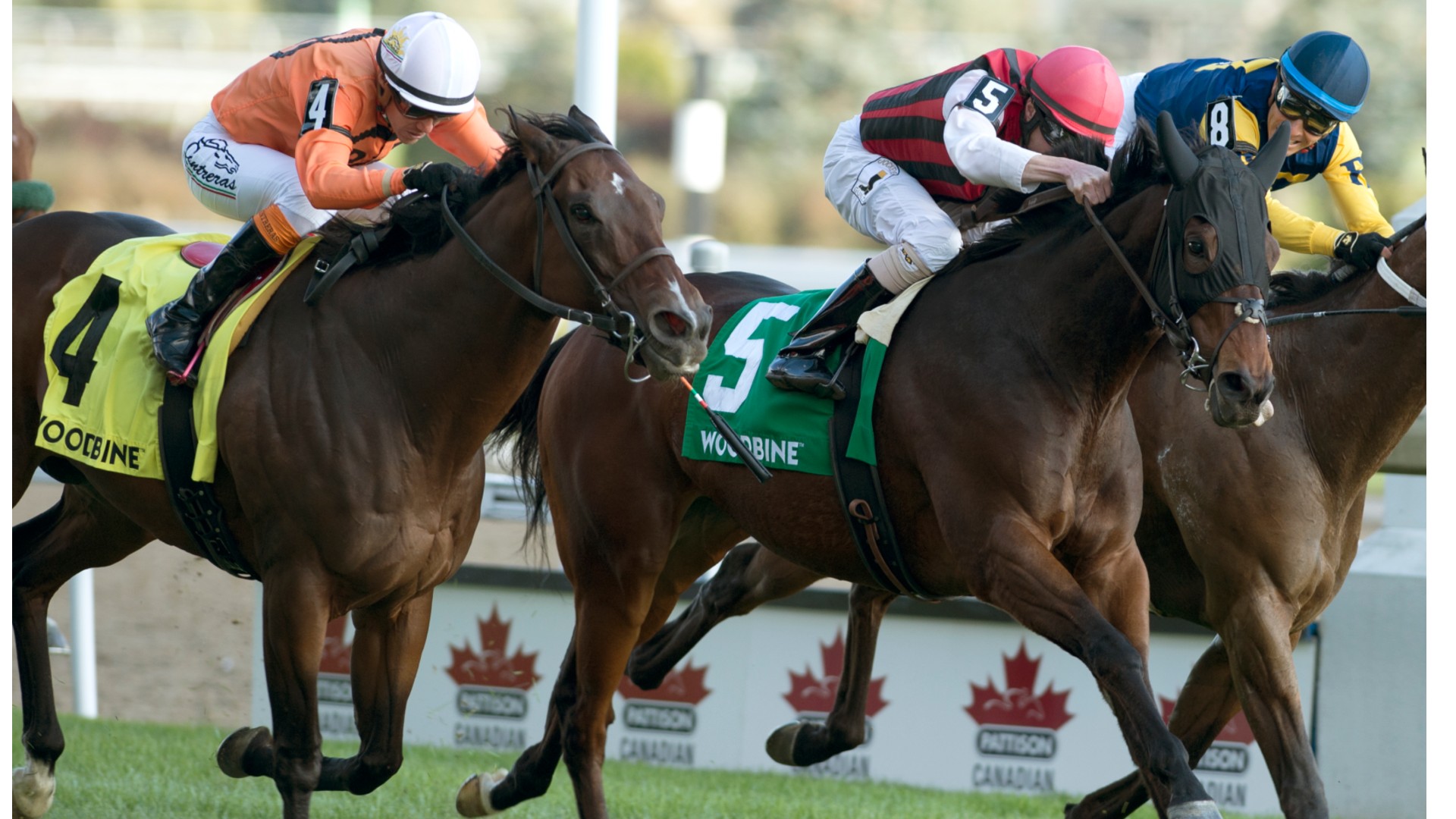 Thumbnail for “This One’s For Gus”; City Boy delivers upset, emotional Nearctic Stakes score