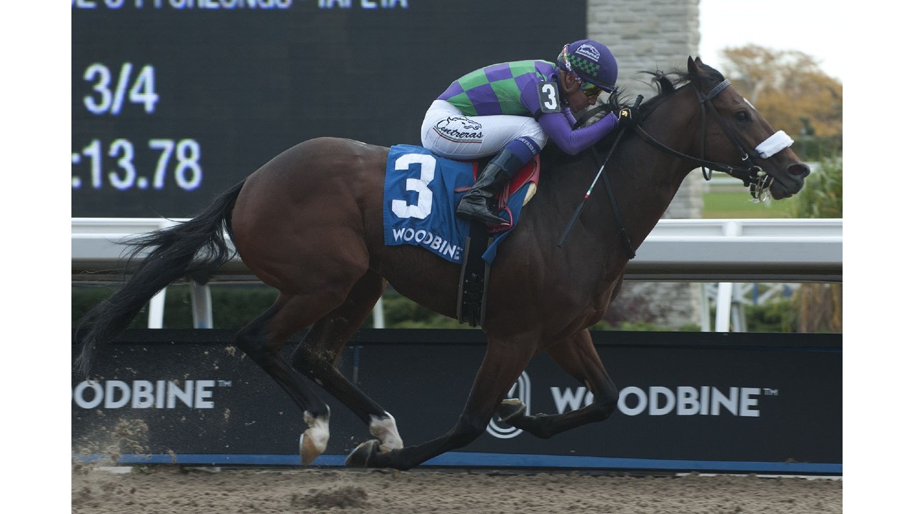 Thumbnail for Woodbine: Urging Rules Grace Period Extended