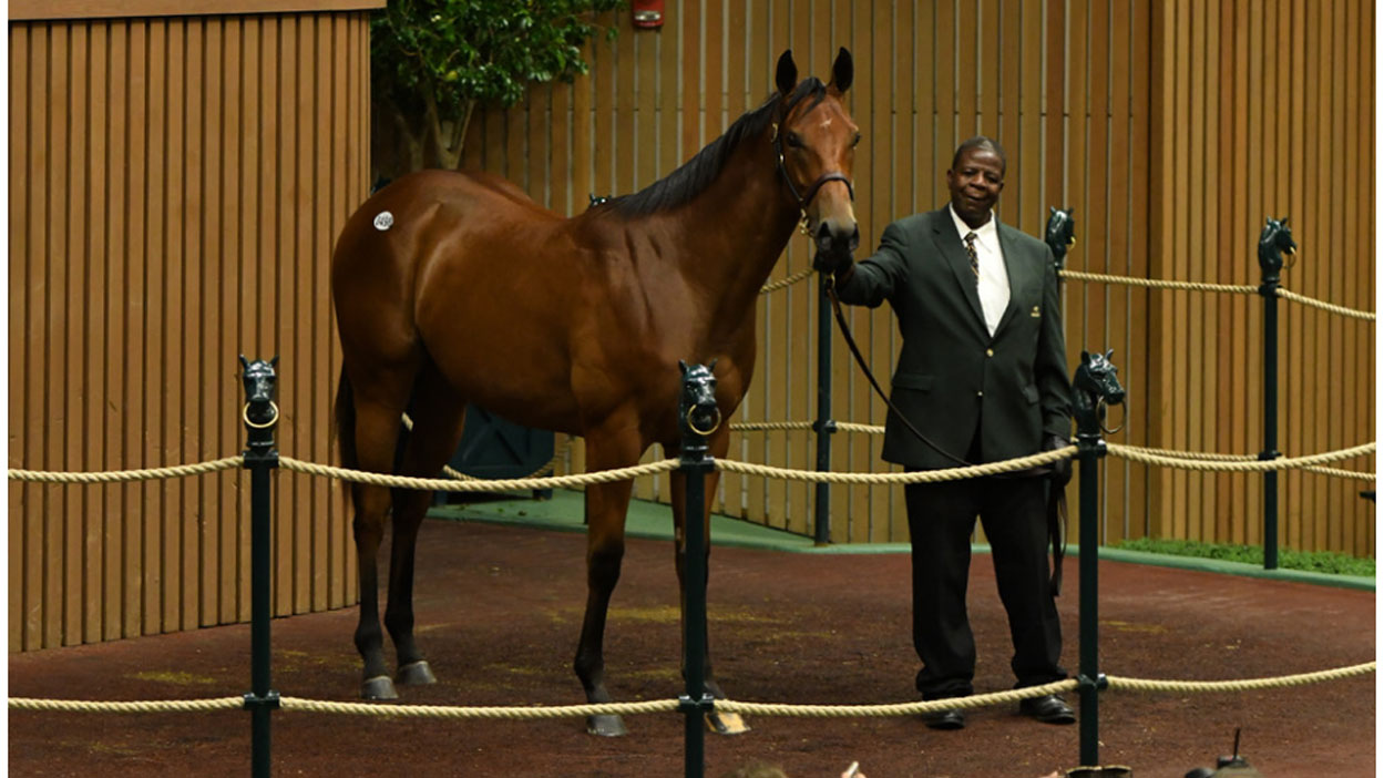 Thumbnail for $8.2 million filly by American Pharoah wows at Keeneland September