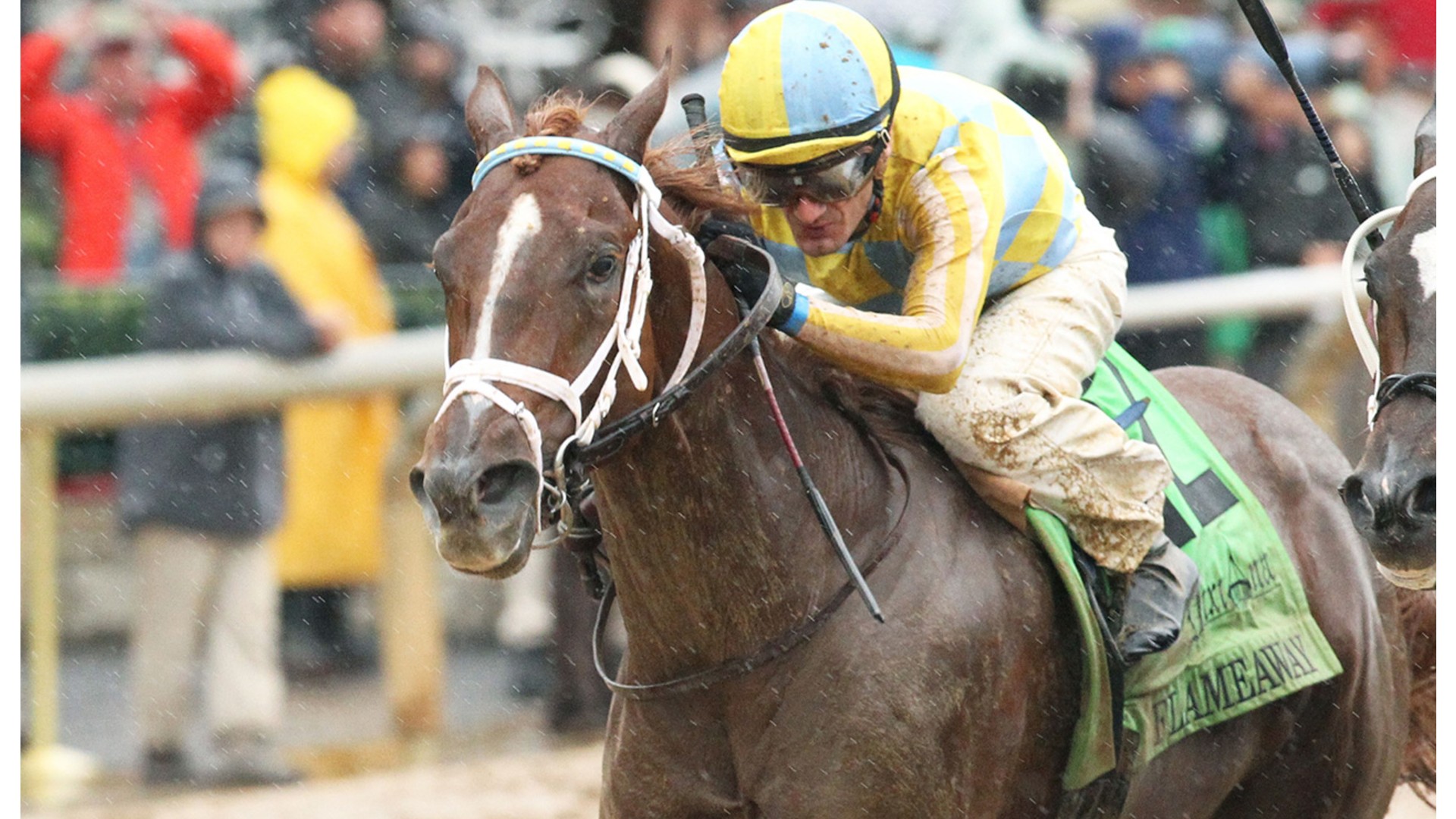 Thumbnail for Canadian-bred Flameaway retired; Will Stand at Darby Dan for $7,500 fee